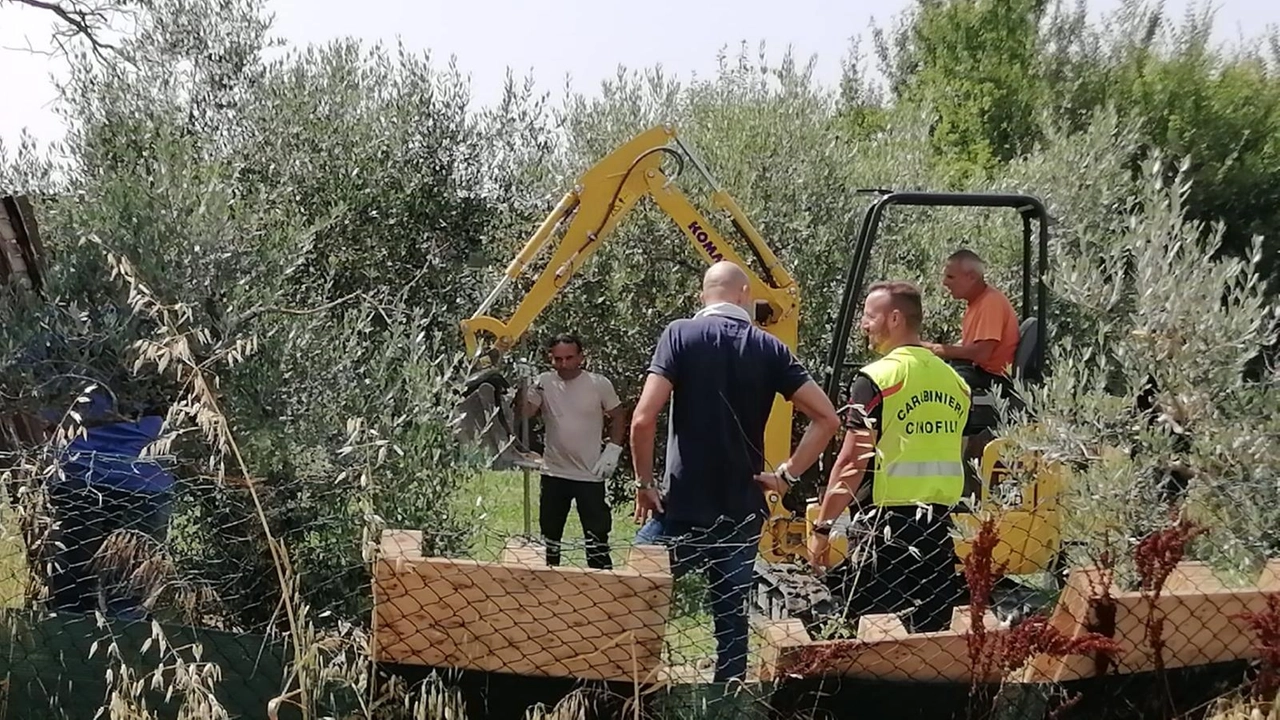 Il killer delle escort e la pista dei complici. Ipotesi sfruttamento, l’ombra del racket