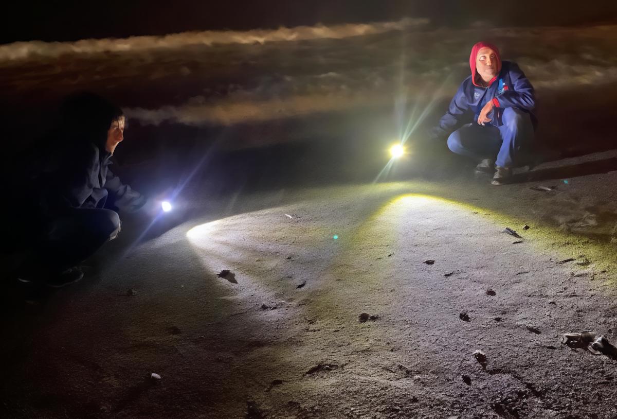 "Il litorale habitat idoneo a questa specia protetta"