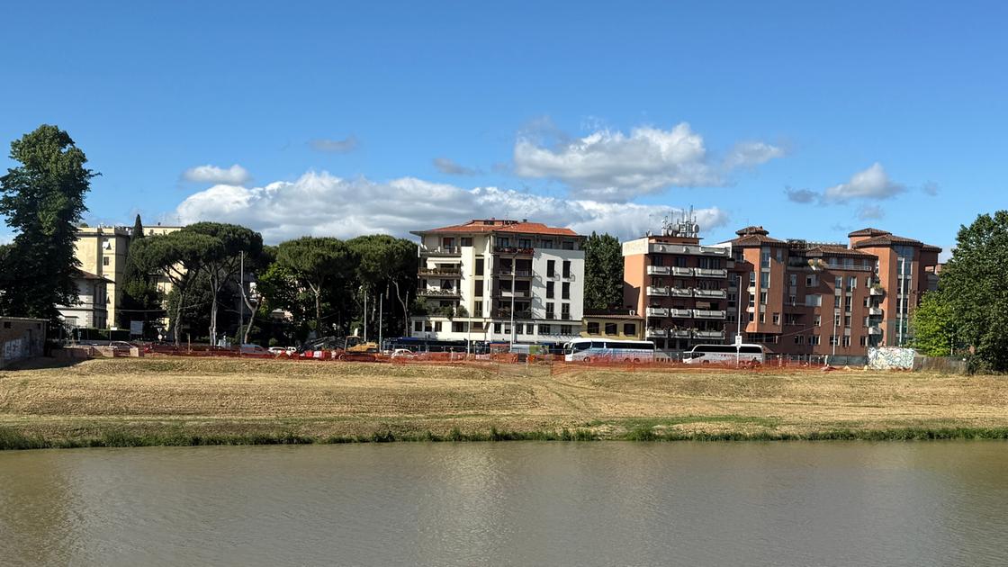 Alberi abbattuti per la tramvia, le lacrime dei residenti: “Fa male al cuore” Alberi abbattuti per la tramvia, le lacrime dei residenti: “Fa male al cuore”