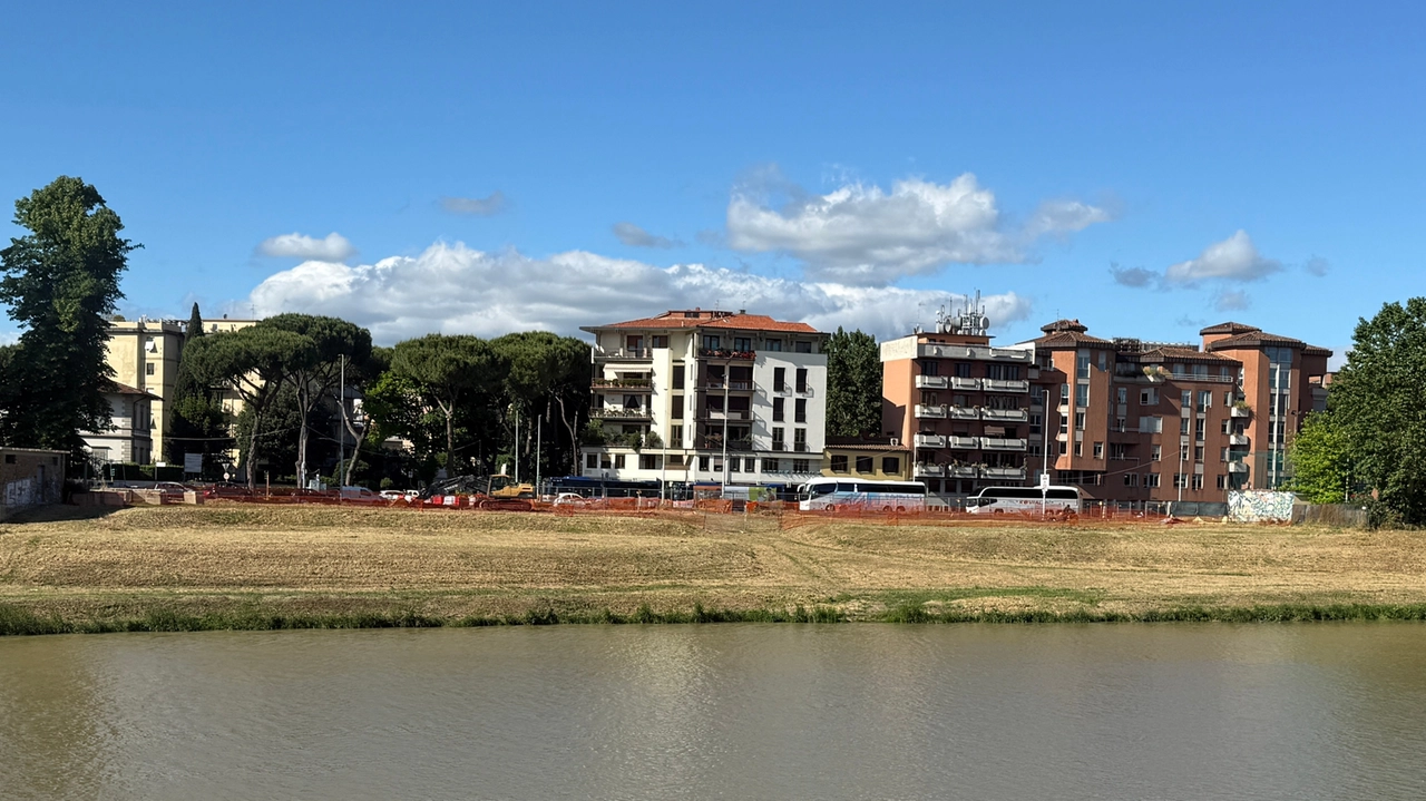 Il lungarno Colombo dopo l'abbattimento degli alberi Il lungarno Colombo dopo l'abbattimento degli alberi