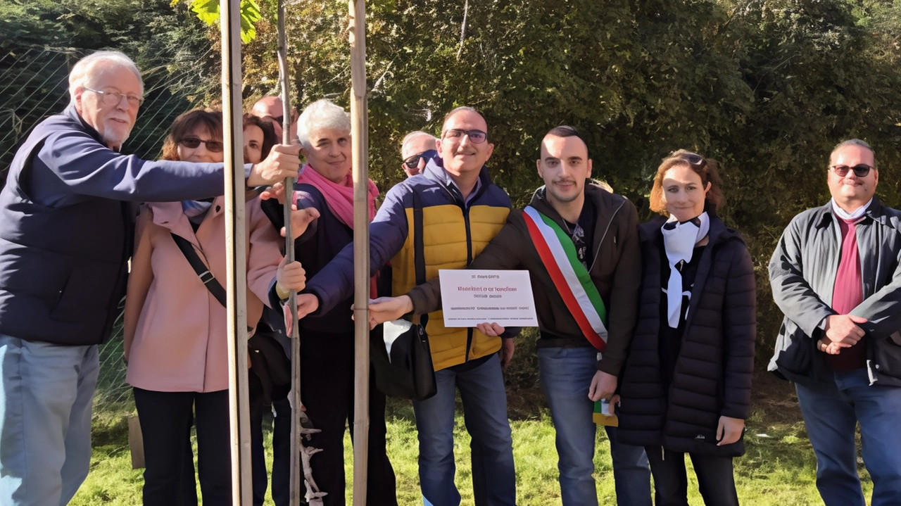 Albero dedicato a Rossella Casini, vittima della 'ndrangheta, piantato davanti alla scuola di Tavarnuzze come simbolo di resistenza alla criminalità organizzata. Iniziativa di Libera e Comune di Impruneta. Albero dedicato a Rossella Casini, vittima della 'ndrangheta, piantato davanti alla scuola di Tavarnuzze come simbolo di resistenza alla criminalità organizzata. Iniziativa di Libera e Comune di Impruneta.