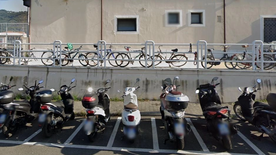 Numerose sono. le biciclette che non vengono rimosse dalle staccionate Numerose sono. le biciclette che non vengono rimosse dalle staccionate