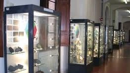 Museo di Scienze della Terra Museo di Scienze della Terra