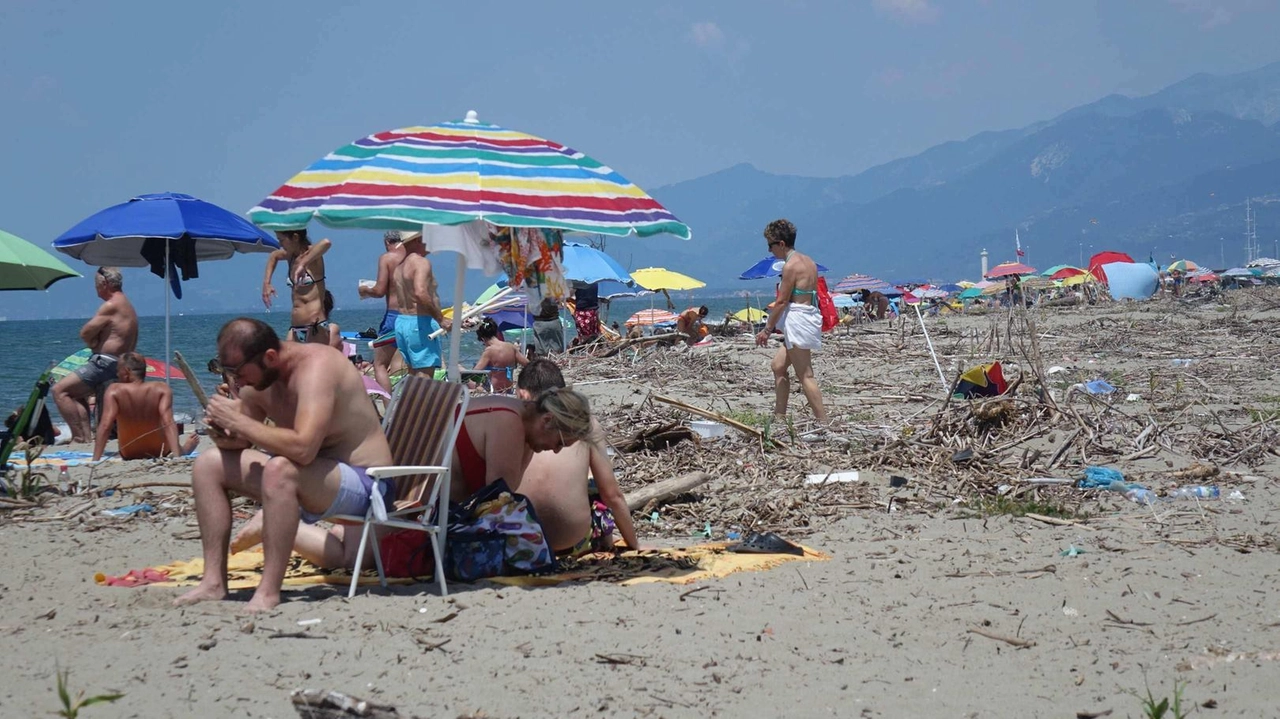 Un cumulo di rifiuti, di sacchetti della spazzatura abbandonati tra la spiaggia libera e gli ombrelloni, le tende e le... Un cumulo di rifiuti, di sacchetti della spazzatura abbandonati tra la spiaggia libera e gli ombrelloni, le tende e le...