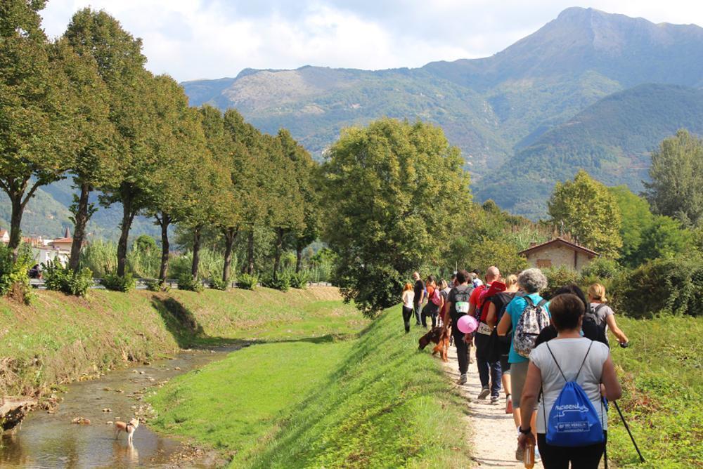 Francigena più vicina all’Unesco: “Un’occasione per il territorio. Volano di sviluppo economico” Francigena più vicina all’Unesco: “Un’occasione per il territorio. Volano di sviluppo economico”
