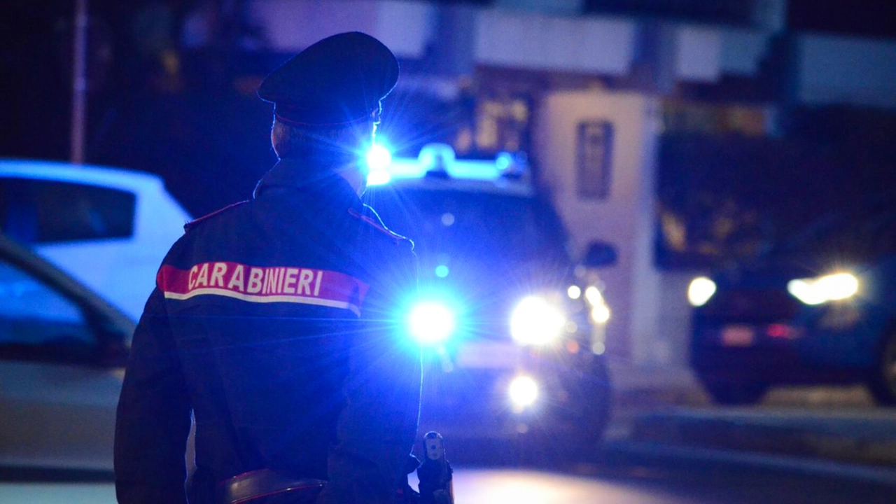 Sul posto indagano i carabinieri (foto di repertorio) Sul posto indagano i carabinieri (foto di repertorio)