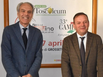 immagine articolo