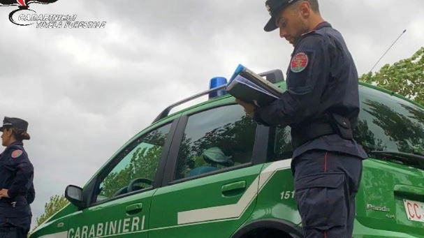 Una foto di carabinieri Forestali durante alcuni controlli Una foto di carabinieri Forestali durante alcuni controlli