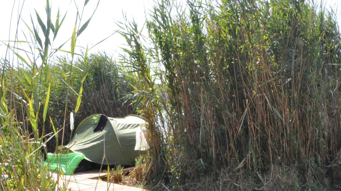 Lago dell’Accesa, il ragazzino egiziano è morto annegato nel lago lo scorso primo maggio, gara solidarietà per aiutare la famiglia Lago dell’Accesa, il ragazzino egiziano è morto annegato nel lago lo scorso primo maggio, gara solidarietà per aiutare la famiglia