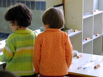 immagine articolo