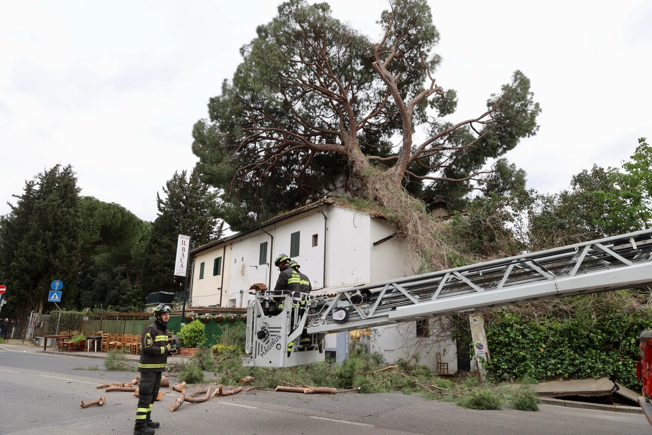 immagine di sfondo 7