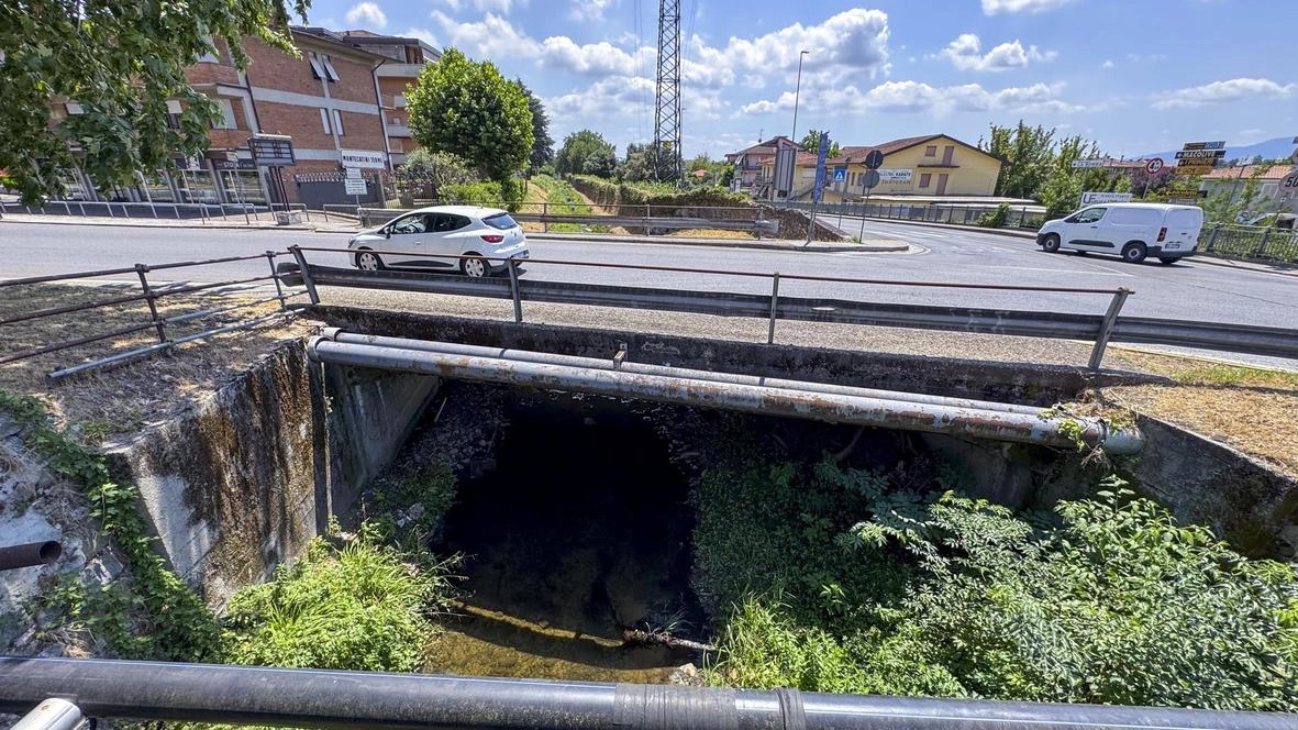Un tratto del torrente Borra a Margine Coperta (Goiorani) Un tratto del torrente Borra a Margine Coperta (Goiorani)