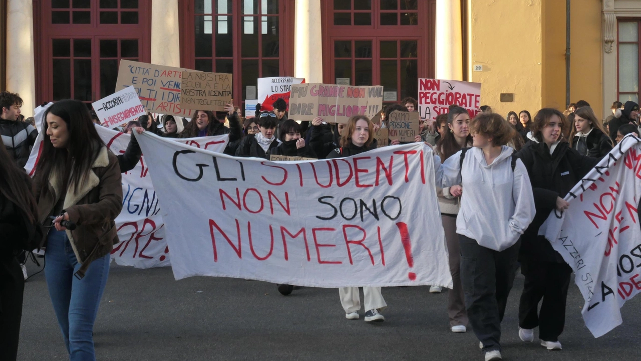 Il corteo anti-accorpamento organizzato lo scorso dicembre dagli studenti