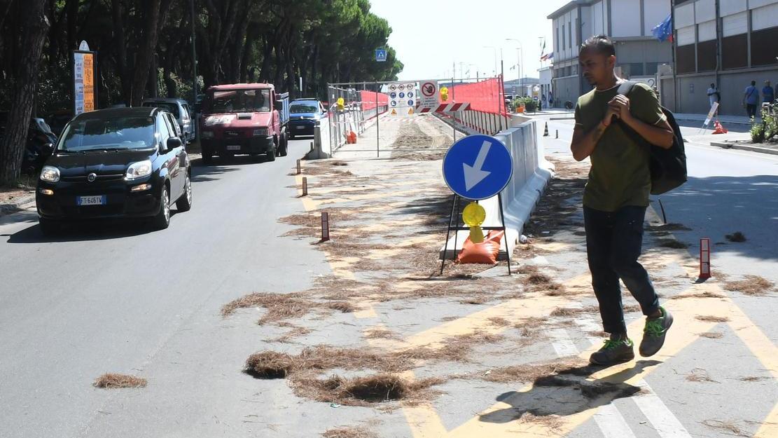 https://www.lanazione.it/image-service/view/acePublic/alias/contentid/M2NmMGZkMDctNGI5OC00/0/il-waterfront-naviga-a-vele-spiegate-cantieri-quasi-conclusi-per-il-lotto-due-una-parte-di-parcheggi-sara-sacrificata.jpeg?f=16:9&w=1200&h=630