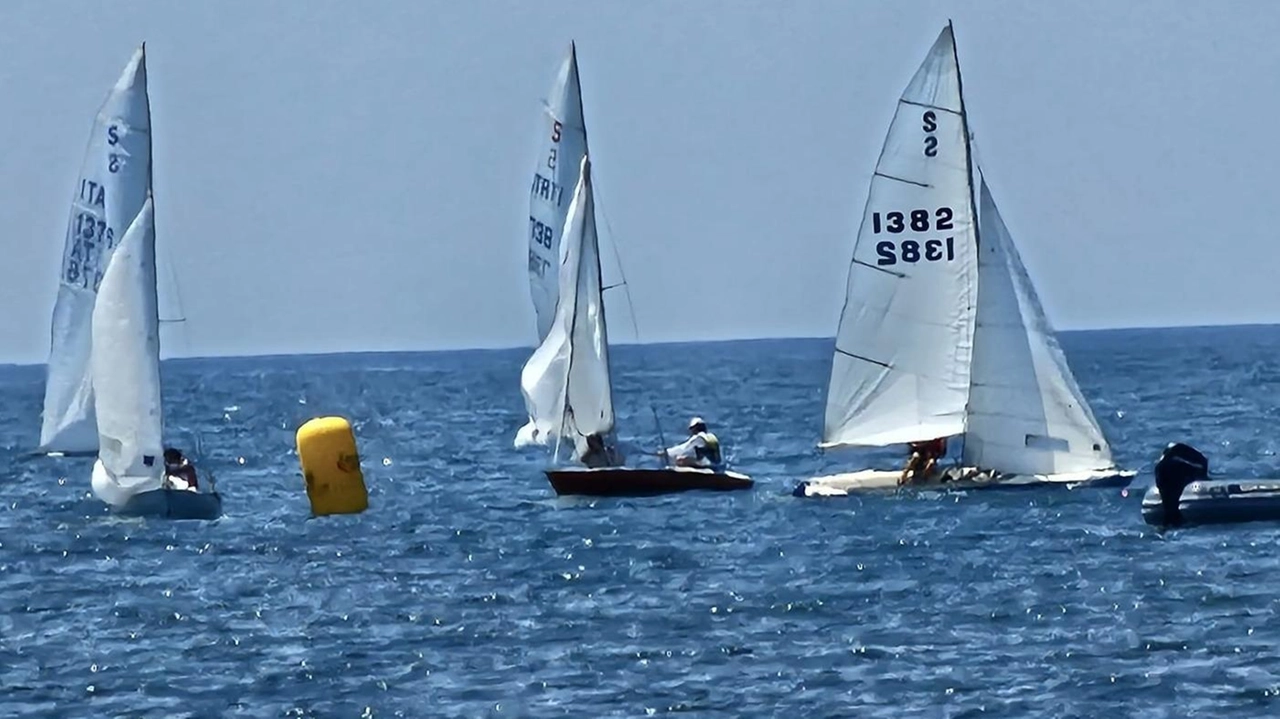 Successo della prima regata estiva open al Circolo della vela di Marina di Massa. P. rossime regate il 13 luglio, il 3 agosto e il 6 settembre Successo della prima regata estiva open al Circolo della vela di Marina di Massa. P. rossime regate il 13 luglio, il 3 agosto e il 6 settembre