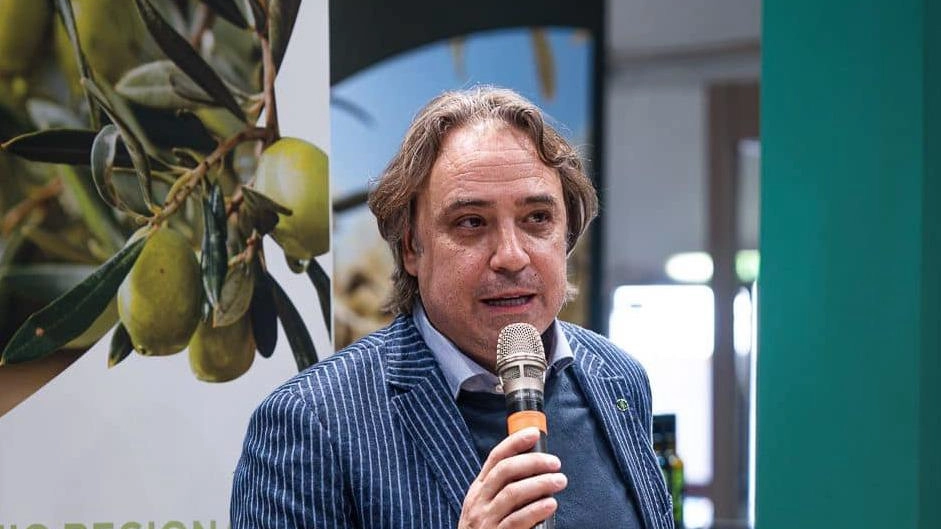 Cessazione delle piogge e poi subito 35 gradi: la campagna olivicola 2025 in una fase cruciale. Viola (Assoprol): "Strategie di controllo preventive per tenere a bada i parassiti". Cessazione delle piogge e poi subito 35 gradi: la campagna olivicola 2025 in una fase cruciale. Viola (Assoprol): "Strategie di controllo preventive per tenere a bada i parassiti".