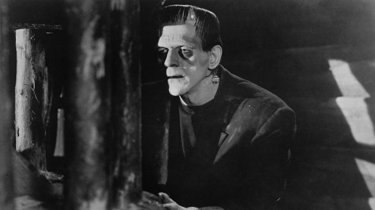 Frankenstein dal romanzo al cinema Frankenstein dal romanzo al cinema