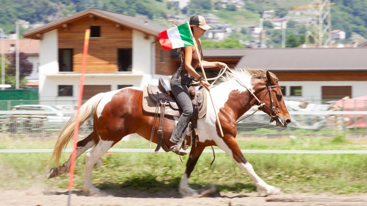 Alice sussurra ai cavalli: "Un lavoro impegnativo al ranch della Estrada"