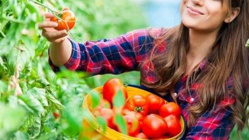 Le offerte di lavoro stagionale in Francia riguardano tutto il territorio e diversi periodi dell’anno. Un esempio del tipo di...