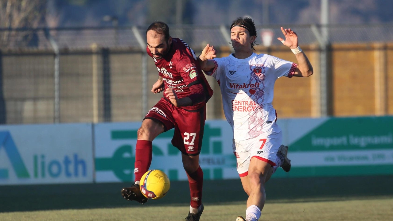 Il Pontedera ha dovuto affrontare una stagione altalenante (foto Bongianni/Germogli) Il Pontedera ha dovuto affrontare una stagione altalenante (foto Bongianni/Germogli)