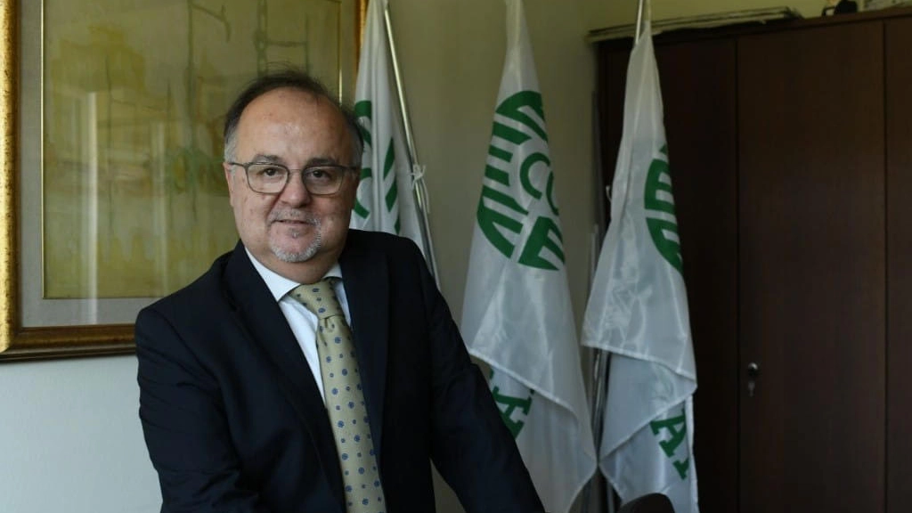 Stefano Bonfanti