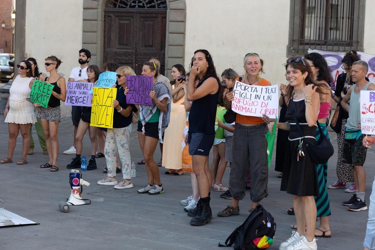 Stop carrozze, animalisti in piazza. Ma i vetturini cambiano tragitto Stop carrozze, animalisti in piazza. Ma i vetturini cambiano tragitto