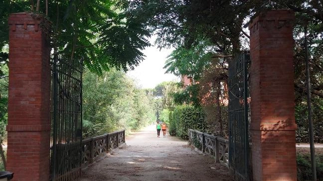 Una delle due telecamere verrà piazzata nella zona in prossimità dell’ingresso del parco della Versiliana, transitato anche da chi non è autorizzato Una delle due telecamere verrà piazzata nella zona in prossimità dell’ingresso del parco della Versiliana, transitato anche da chi non è autorizzato