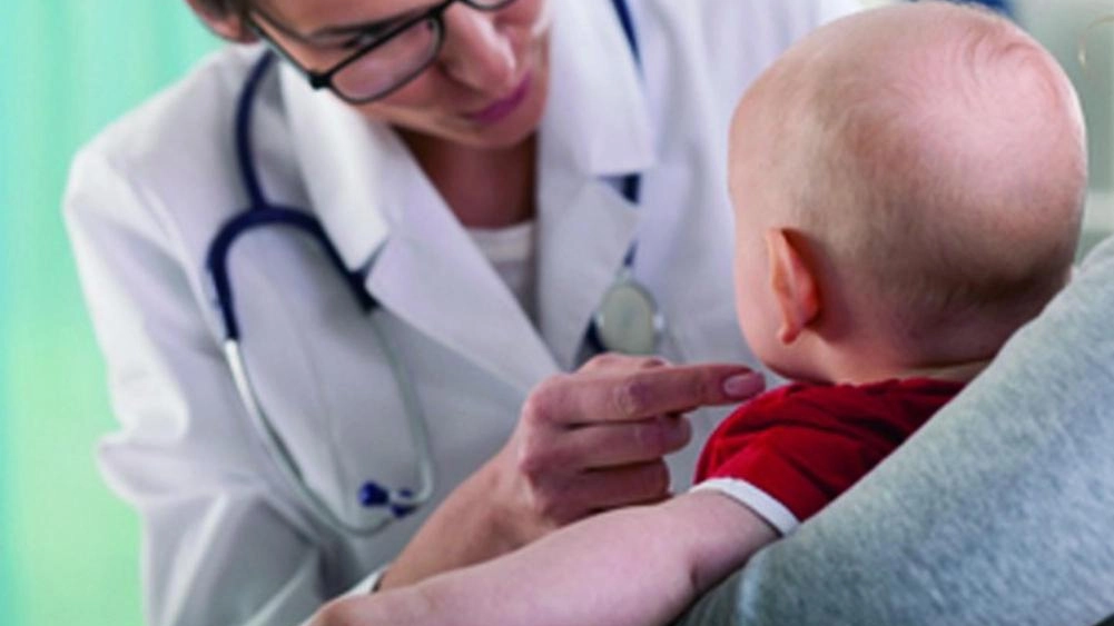 Il progetto dell’associazione "Cuore di Bimbo" portato avanti insieme ad altri venti gruppi toscani. I referenti per la Valtiberina: "La proposta, prevede la costituzione di un team per le sostituzioni". Il progetto dell’associazione "Cuore di Bimbo" portato avanti insieme ad altri venti gruppi toscani. I referenti per la Valtiberina: "La proposta, prevede la costituzione di un team per le sostituzioni".
