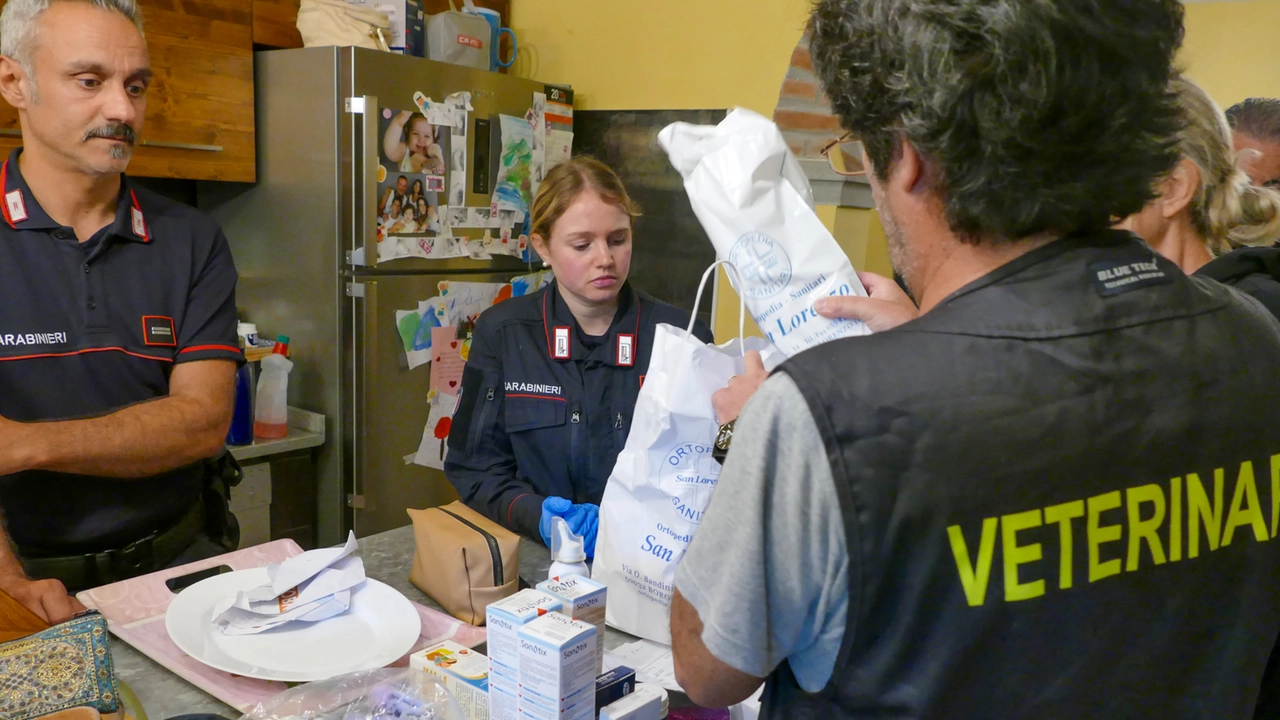 Verifiche sul cibo (foto di repertorio)