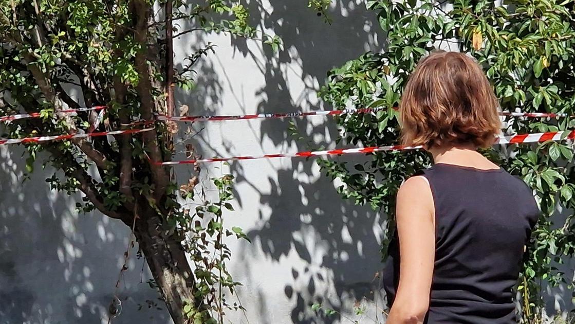 Aggredito e ucciso in casa. Il corpo era sepolto in una buca. Fermato il figlio dell’anziano