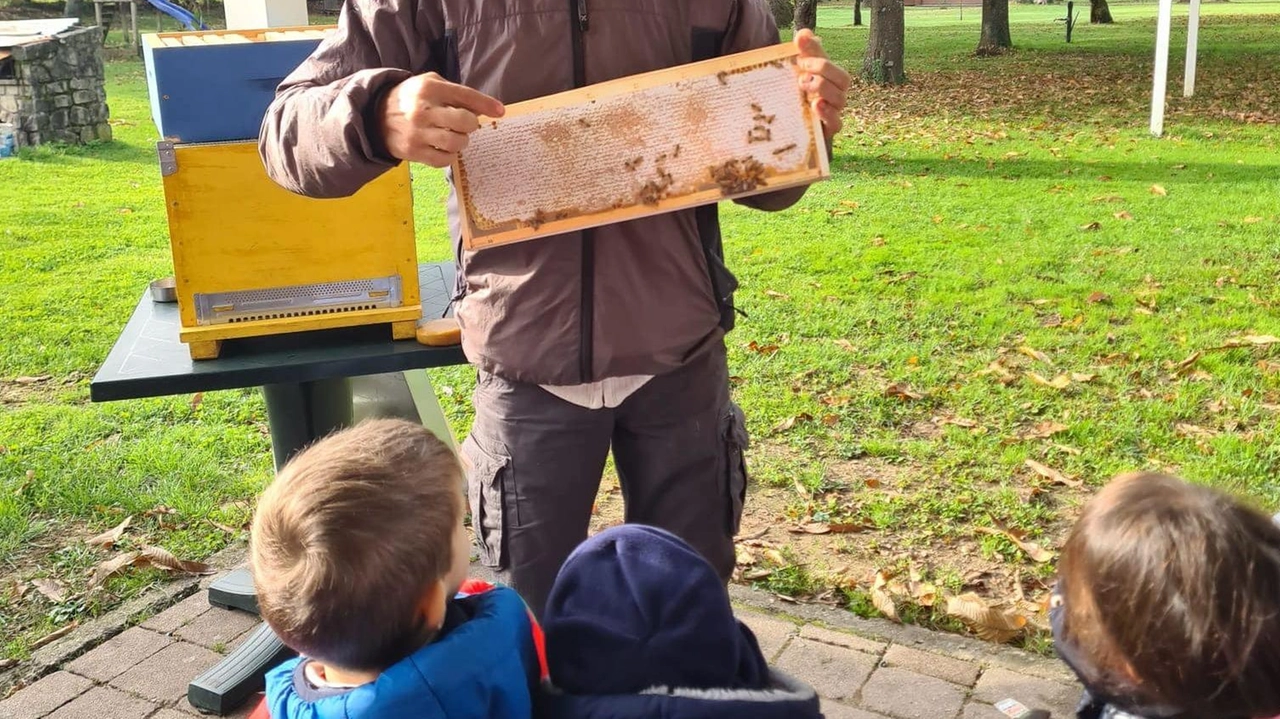 Le guide di Sigeric organizzano attività per i più piccoli legate a storia e natura Le guide di Sigeric organizzano attività per i più piccoli legate a storia e natura