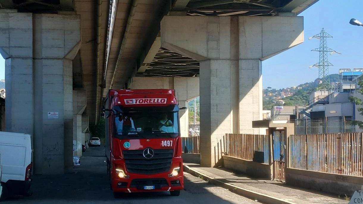 Un camion transita sotto un viadotto autostradale. La battaglia legale tra il Comune di Carrodano e Salt ha visto vincitore l’ente comunale (. foto d’archivio Un camion transita sotto un viadotto autostradale. La battaglia legale tra il Comune di Carrodano e Salt ha visto vincitore l’ente comunale (. foto d’archivio