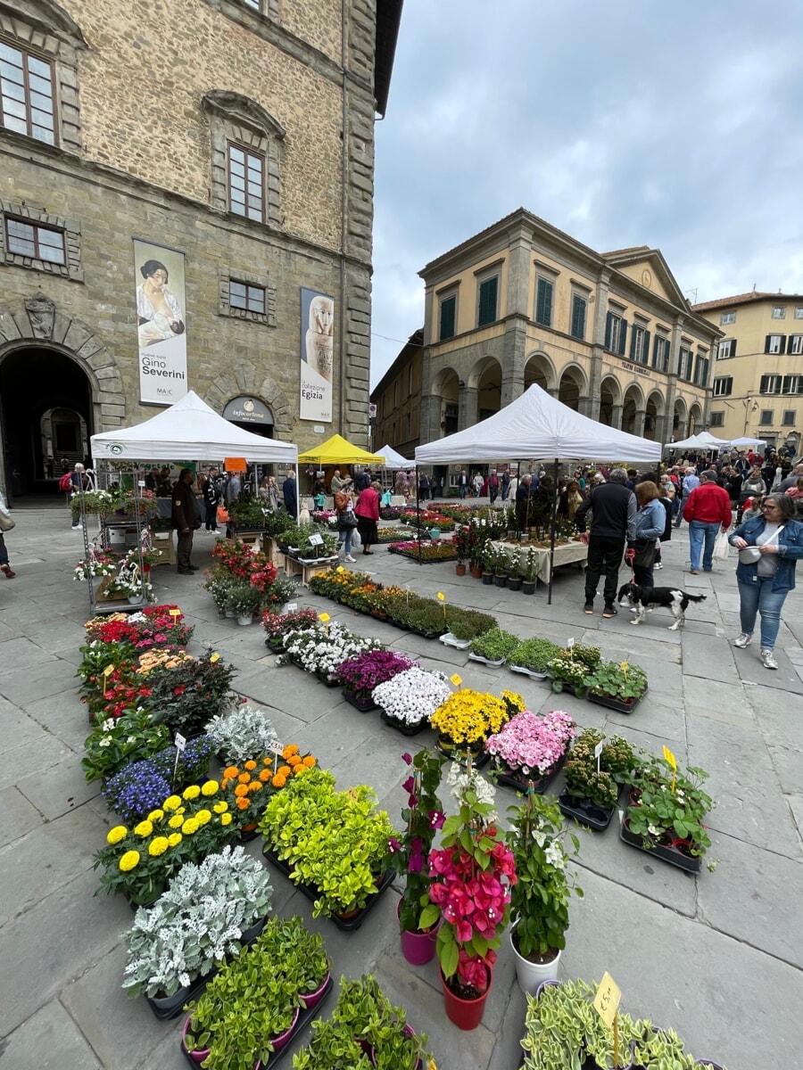 Cortona domenica da Lanazione.it cortona domenica 11 maggio torna camucia in fiera
