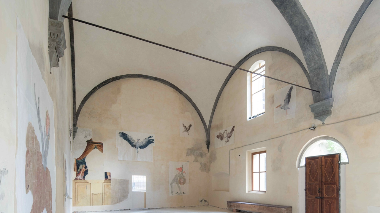 Un'immagine degli ambienti di Sant'Orsola fotografati da Claudio Ripalti Un'immagine degli ambienti di Sant'Orsola fotografati da Claudio Ripalti