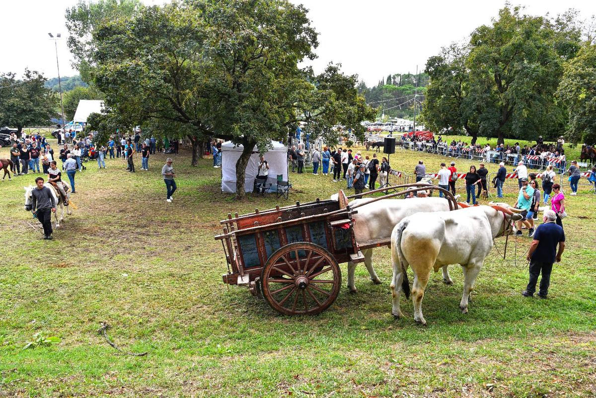 perdono di terranuova l8217agricoltura al centro