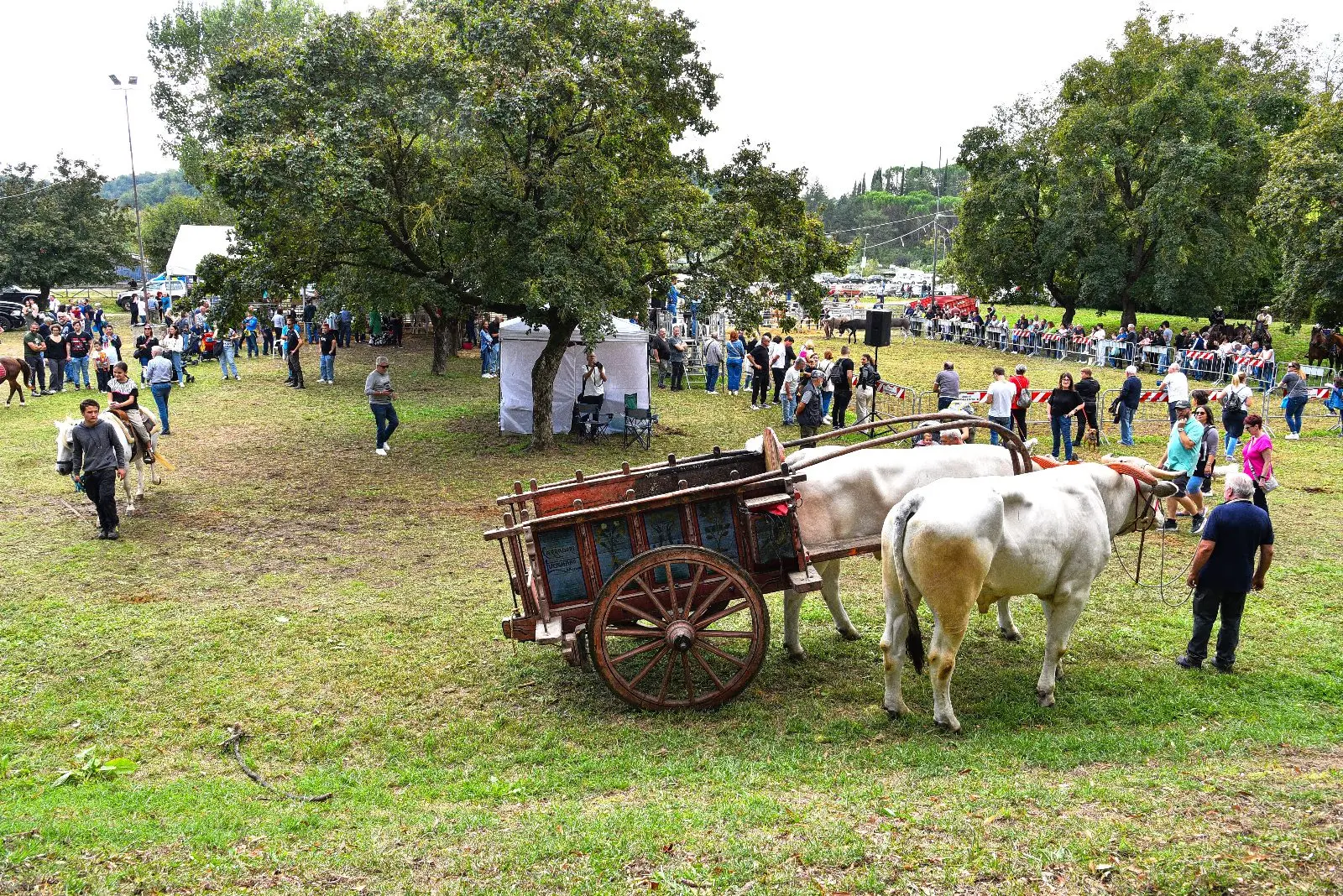 Perdono di Terranuova. L’agricoltura al centro
