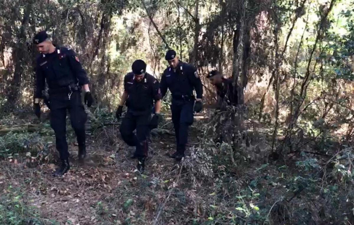 cadavere ritrovato in pineta la scoperta agghiacciante era l236 da mesi disposta l8217autopsia