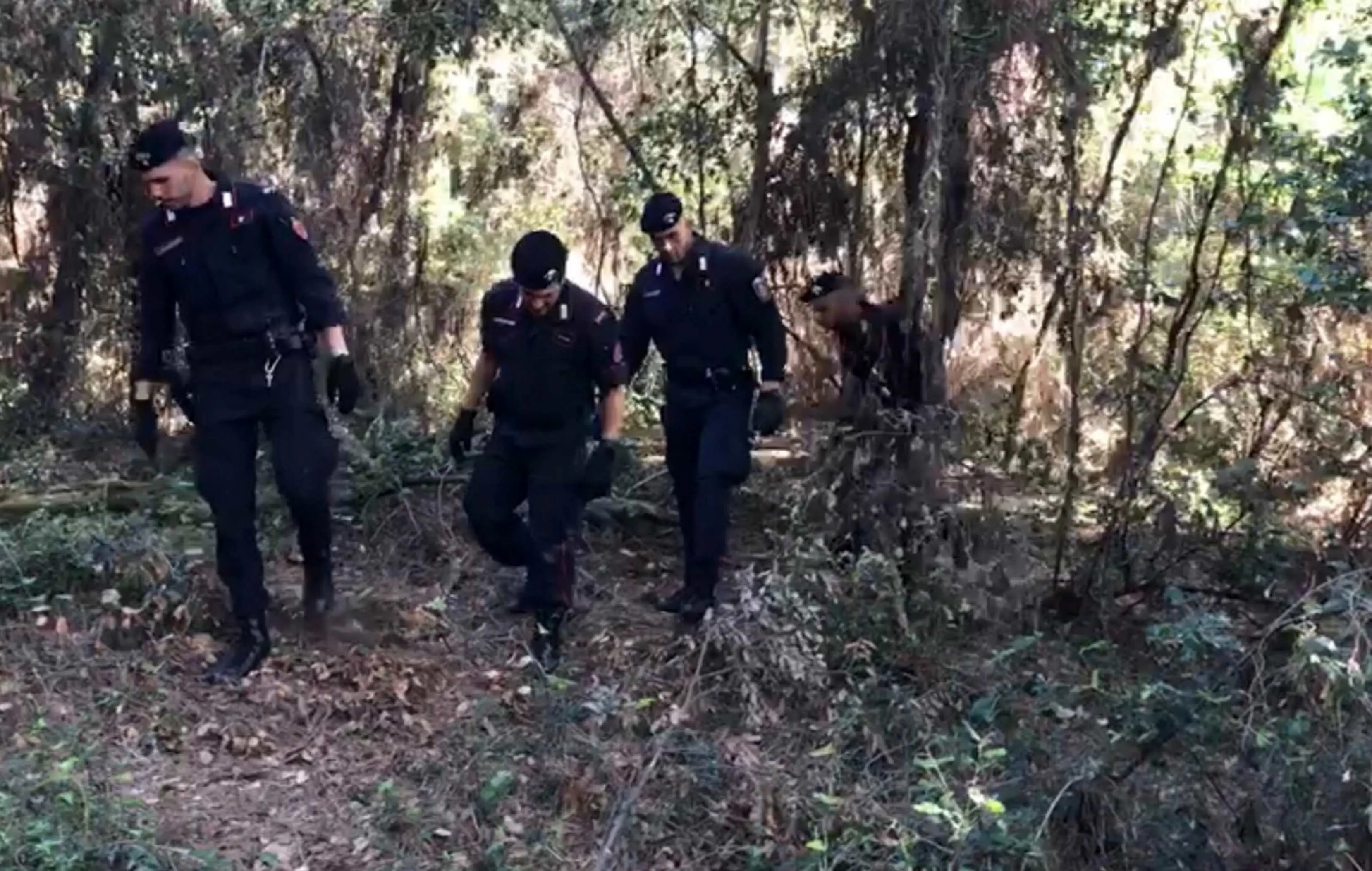 Cadavere ritrovato in pineta, la scoperta agghiacciante: era lì da mesi. Disposta l’autopsia