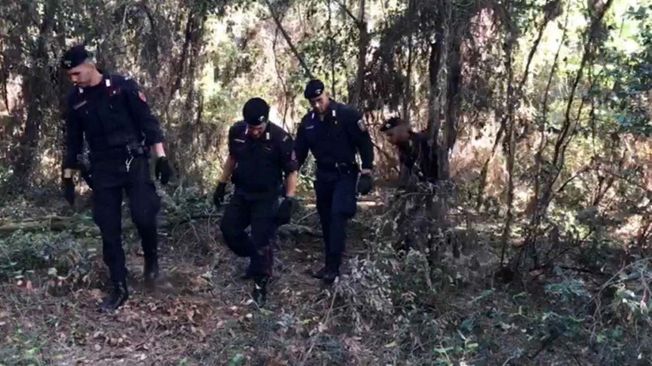 I carabinieri del comando provinciale di Pisa si occupano delle indagini (Fotografia di repertorio)