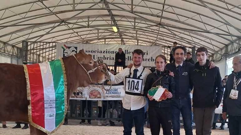 La campionessa italiana della razza limousine quest’anno è mugellana. È una splendida vacca, Tracy, dal peso di 9 quintali, nata...