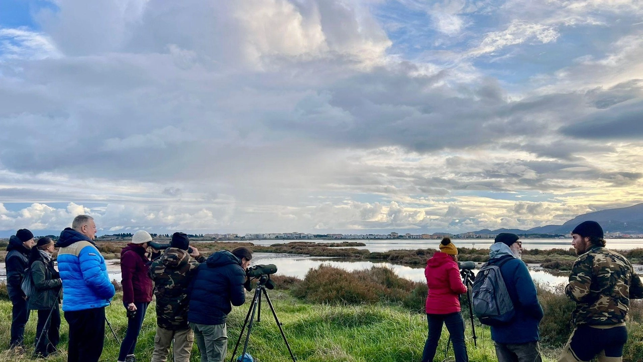 Obiettivi puntati sullo spettacolare paesaggio che mostra la laguna di Orbetello Obiettivi puntati sullo spettacolare paesaggio che mostra la laguna di Orbetello