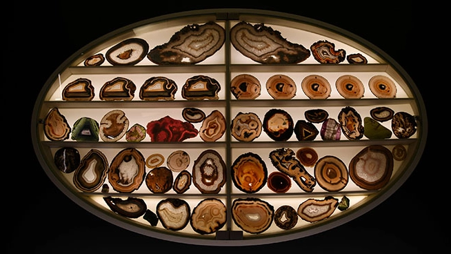 DAI IL TUO CONTRIBUTO ALLA GRANDE STORIA NATURALE Sostieni con il 5XMILLE il Museo “La Specola” dell’Università di Firenze DAI IL TUO CONTRIBUTO ALLA GRANDE STORIA NATURALE Sostieni con il 5XMILLE il Museo “La Specola” dell’Università di Firenze