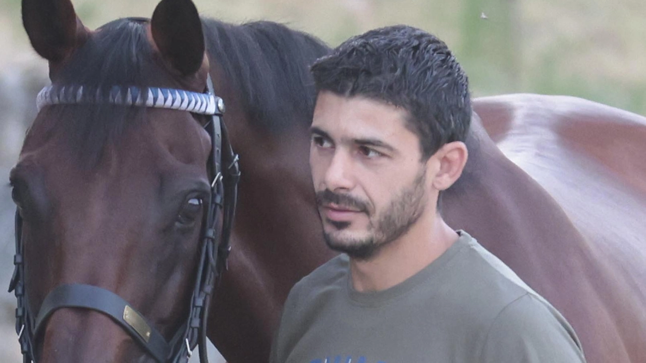 Il cavallo Ungaros non è stato incluso nella lista dei promossi per il Palio di agosto a Siena, forse a causa delle escoriazioni riportate in una scivolata. Il proprietario del barbero, Sebastiano Murtas, sospetta che non sia stato valutato al 100% dopo l'incidente di luglio. Tuttavia, la carriera del cavallo non è finita e potrebbe ancora competere in futuro. Il cavallo Ungaros non è stato incluso nella lista dei promossi per il Palio di agosto a Siena, forse a causa delle escoriazioni riportate in una scivolata. Il proprietario del barbero, Sebastiano Murtas, sospetta che non sia stato valutato al 100% dopo l'incidente di luglio. Tuttavia, la carriera del cavallo non è finita e potrebbe ancora competere in futuro.