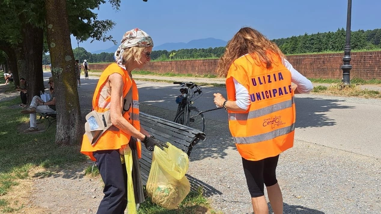 Il comitato Vivere il centro storico ha raccolto i rifiuti abbandonati