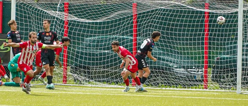 Grosseto al settimo posto: playoff a rischio prima del derby con il Siena
