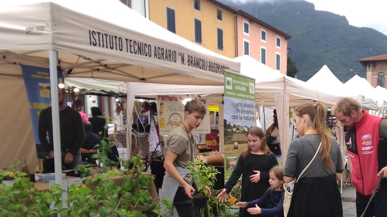 Nasce, a Bicchio, un nuovo mercato rionale contadino con prodotti a km zero Nasce, a Bicchio, un nuovo mercato rionale contadino con prodotti a km zero