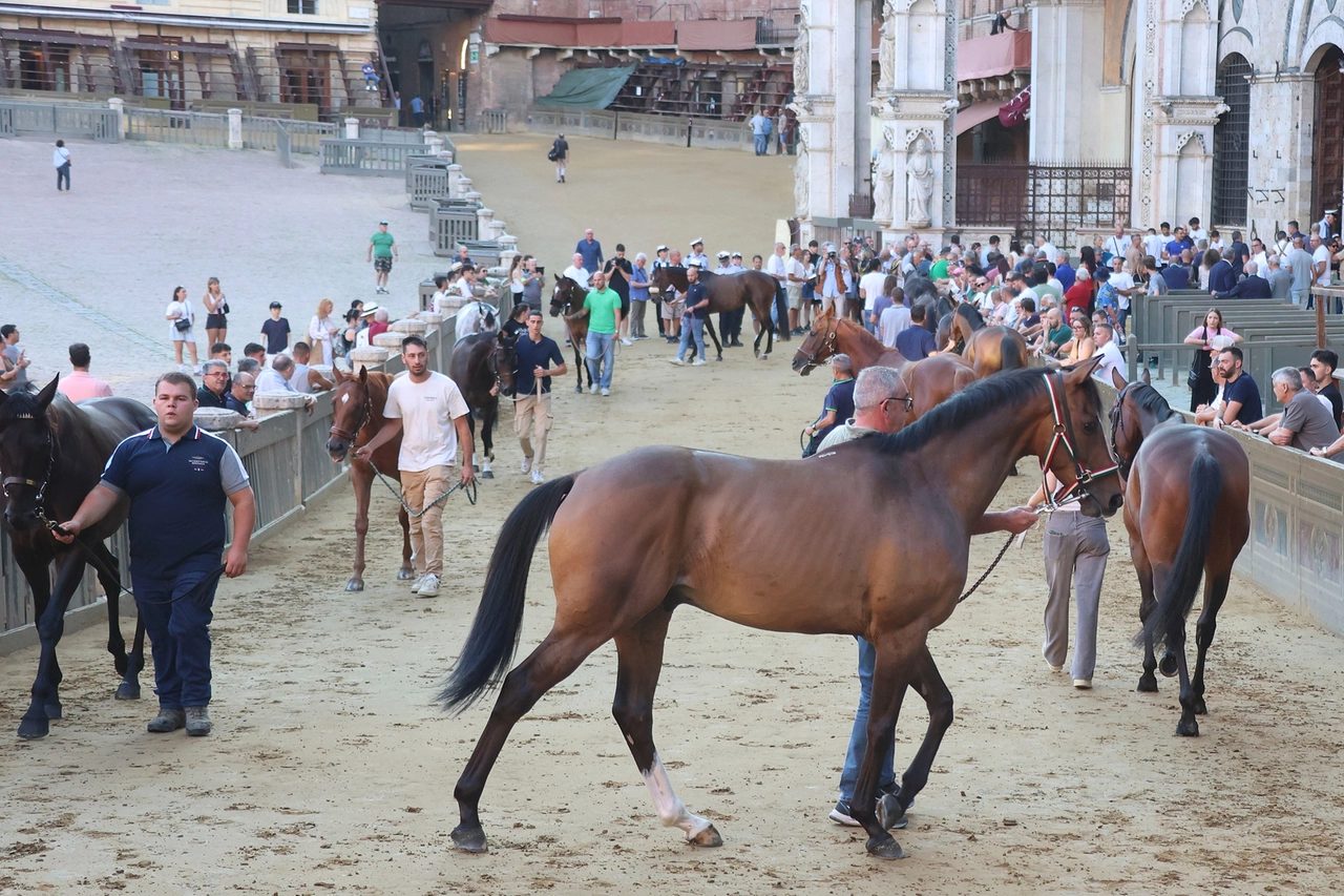 immagine di sfondo 23