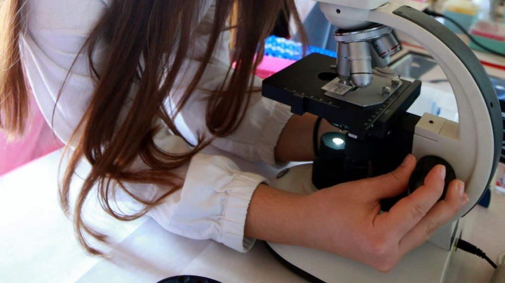 Laboratori