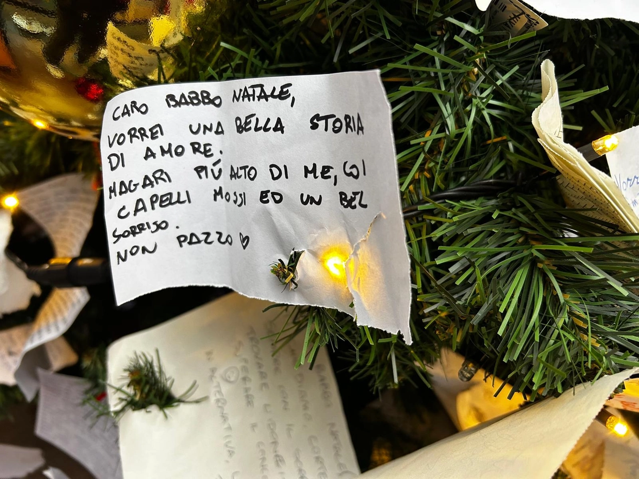 immagine di sfondo 3