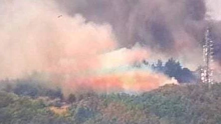 Incendio a Monsummano Terme: situazione monitorata e bonificata, nessuna vittima. Agriturismi vicini salvati dal vento contrario. Autorità valutano danni e cause. Incendio a Monsummano Terme: situazione monitorata e bonificata, nessuna vittima. Agriturismi vicini salvati dal vento contrario. Autorità valutano danni e cause.